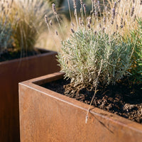 Lot de 2 jardinières de balcon Cassis — en cours d'utilisation
