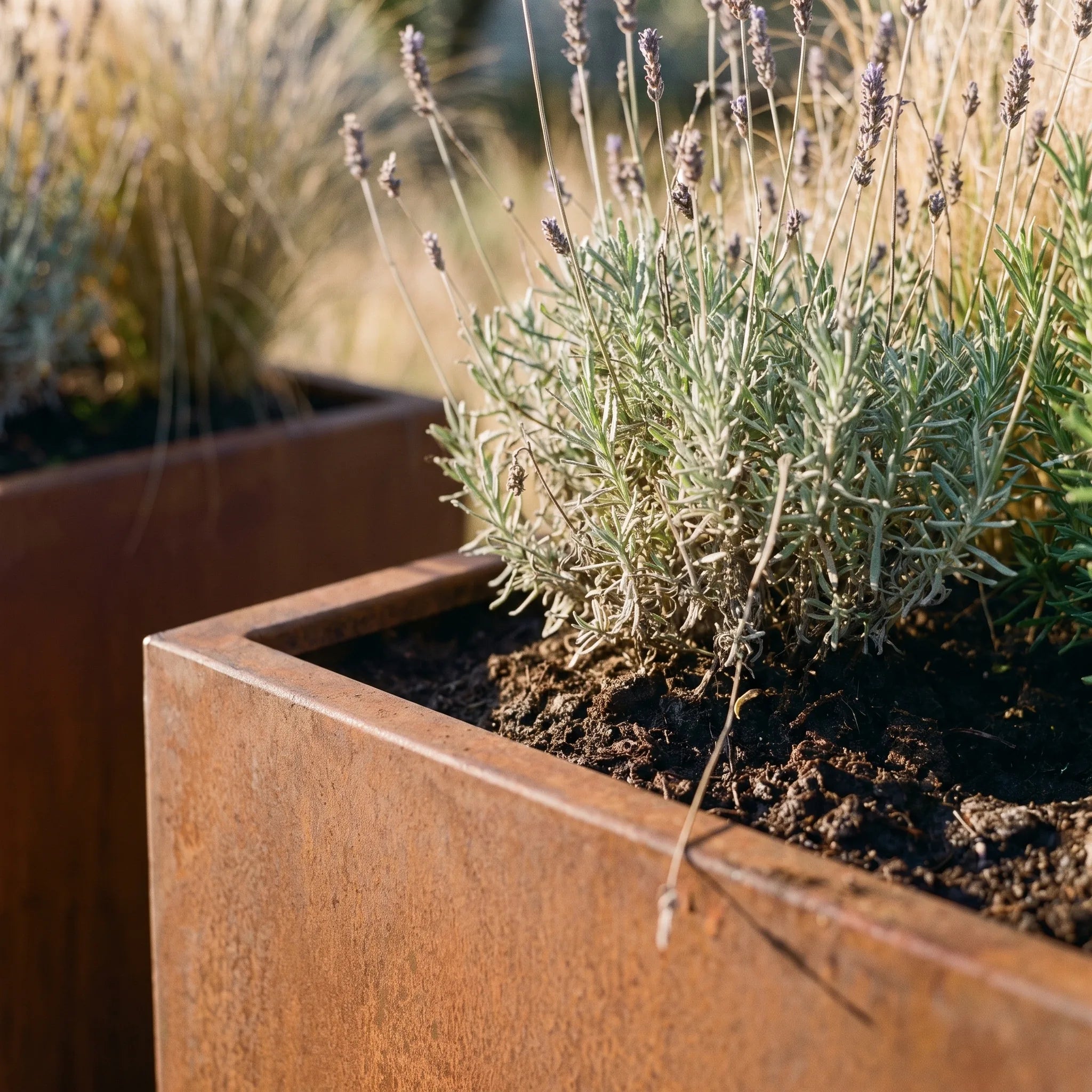 Lot de 2 jardinières de balcon Cassis — en cours d'utilisation