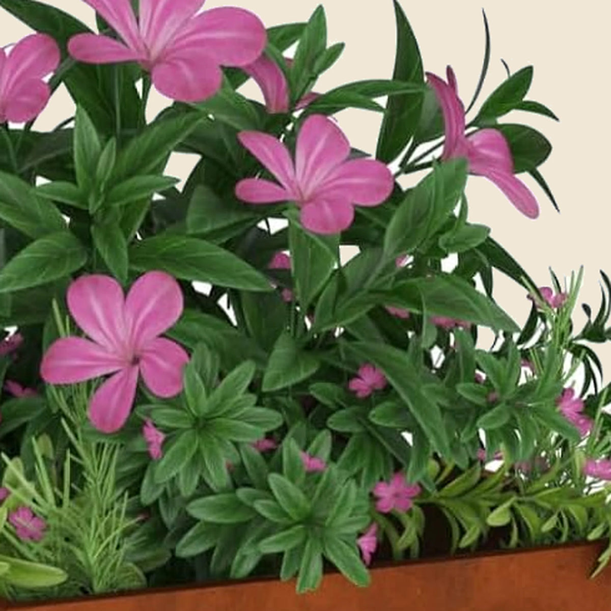 Lot de 2 jardinières hautes Cyprès — détail de la finition
