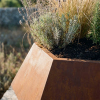 Amandier, lot de 2 jardinières